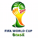 2014 FIFA World Cup